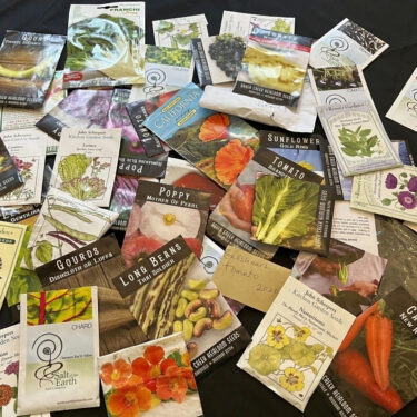 Gardening – Seeds