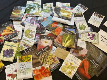 Gardening – Seeds
