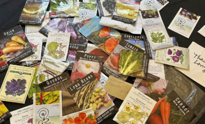 Gardening – Seeds
