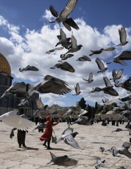 Pictures of the Week Global Photo Gallery