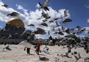 Pictures of the Week Global Photo Gallery