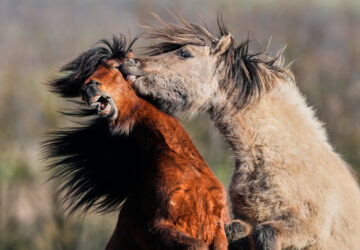 Pictures of the Week Global Photo Gallery