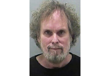 Treasure Hunter Missing Gold