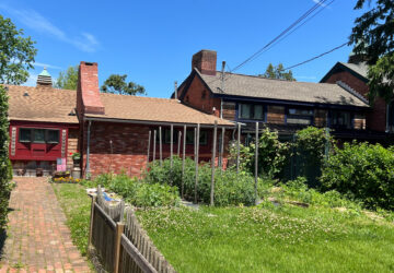 Gardening-Front-Yard Vegetables