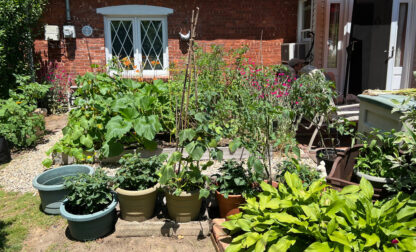 Gardening-Front-Yard Vegetables