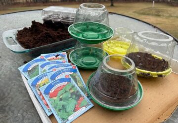 Gardening-Creative Reuse