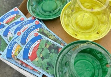 Gardening-Creative Reuse