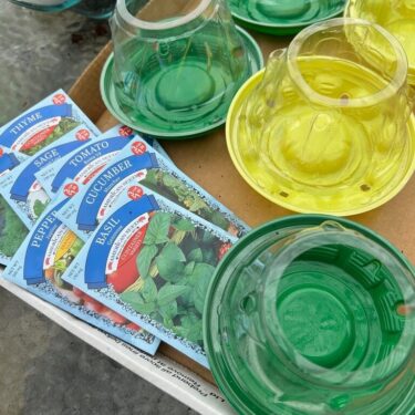 Gardening-Creative Reuse