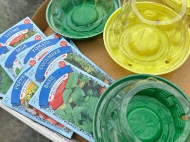 Gardening-Creative Reuse