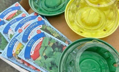 Gardening-Creative Reuse