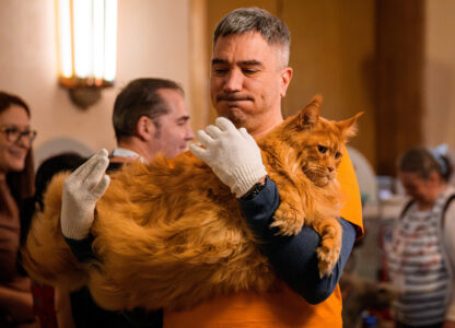 APTOPIX Romania International Cat Show