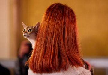 Romania International Cat Show