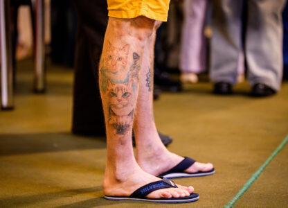 Romania International Cat Show