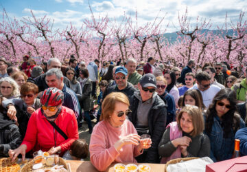 Greece Peach Blossoms