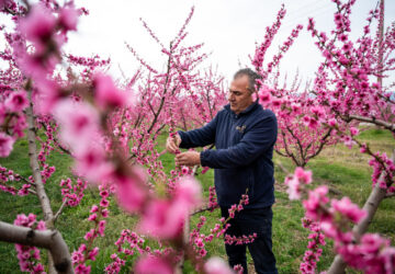 Anastasios Chalkidis