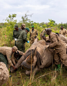 Pictures-of-the-Week-Global-Photo-Gallery