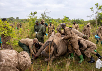 Pictures-of-the-Week-Global-Photo-Gallery