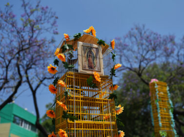 Mexico Bird Vendors
