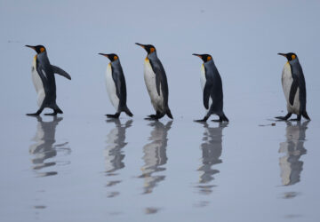 AP-Pictures-of-the-Week-Global-Photo-Gallery