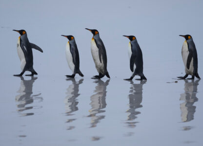 AP-Pictures-of-the-Week-Global-Photo-Gallery