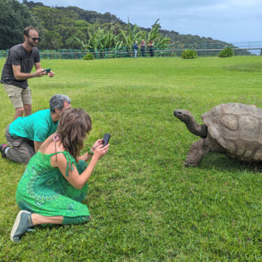 Britain World’s Oldest-Tortoise