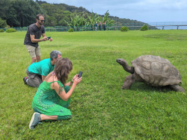 Britain World’s Oldest-Tortoise