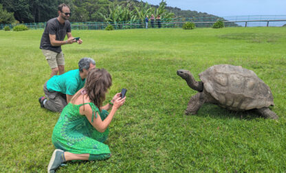 Britain World’s Oldest-Tortoise