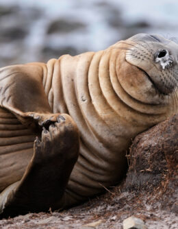 Pictures of the Week Global Photo Gallery