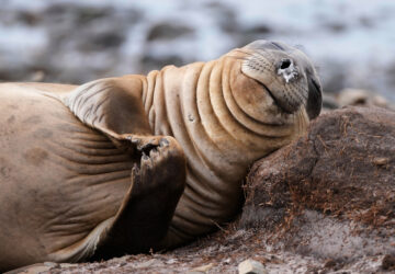 Pictures of the Week Global Photo Gallery