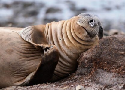 Pictures of the Week Global Photo Gallery