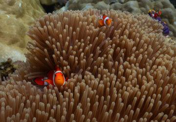 Pictures of the Week Global Photo Gallery