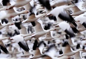 Photo Highlights of March