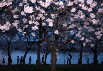 Photo Highlights of March