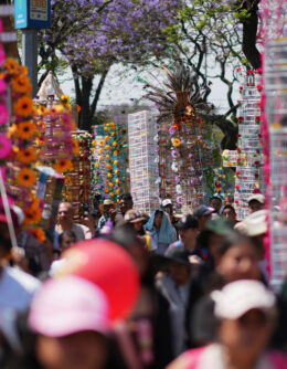 REP-GEN LATINOAMÉRICA EN IMÁGENES-FOTOS