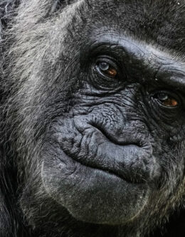 Pictures of the Week Global Photo Gallery