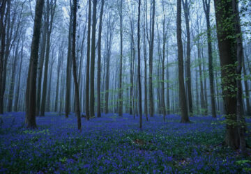 Pictures of the Week Global Photo Gallery