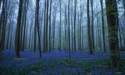 Pictures of the Week Global Photo Gallery