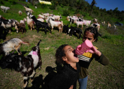 Pictures of the Week Global Photo Gallery