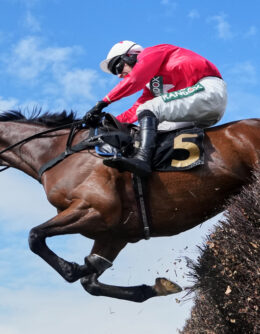 Pictures of the Week Global Photo Gallery