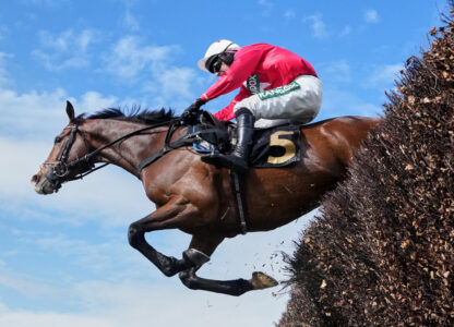 Pictures of the Week Global Photo Gallery