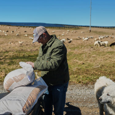 Climate Solar Energy Farmland