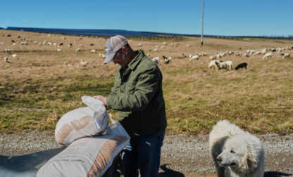 Climate Solar Energy Farmland