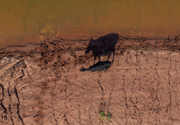 APTOPIX Climate Drought