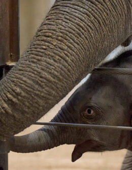 Pictures of the Week Global Photo Gallery