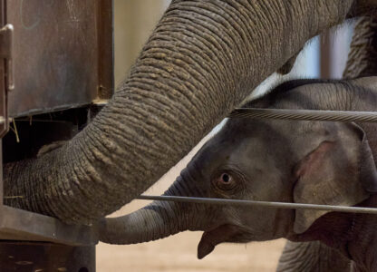 Pictures of the Week Global Photo Gallery