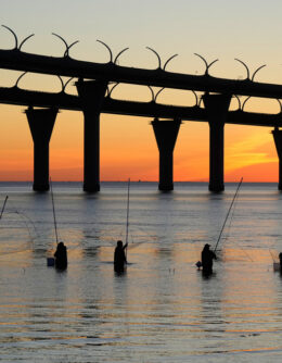 Pictures of the Week Global Photo Gallery