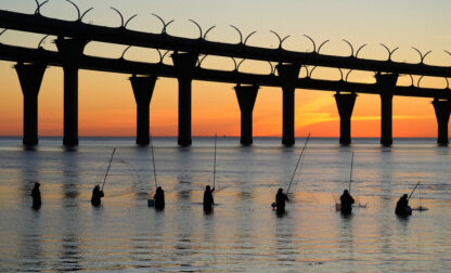 Pictures of the Week Global Photo Gallery