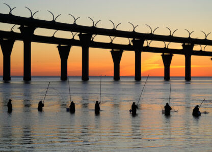 Pictures of the Week Global Photo Gallery