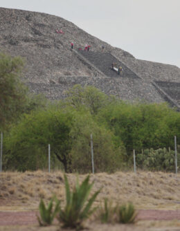 Pictures of the Week Global Photo Gallery