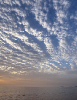 Pictures of the Week Global Photo Gallery